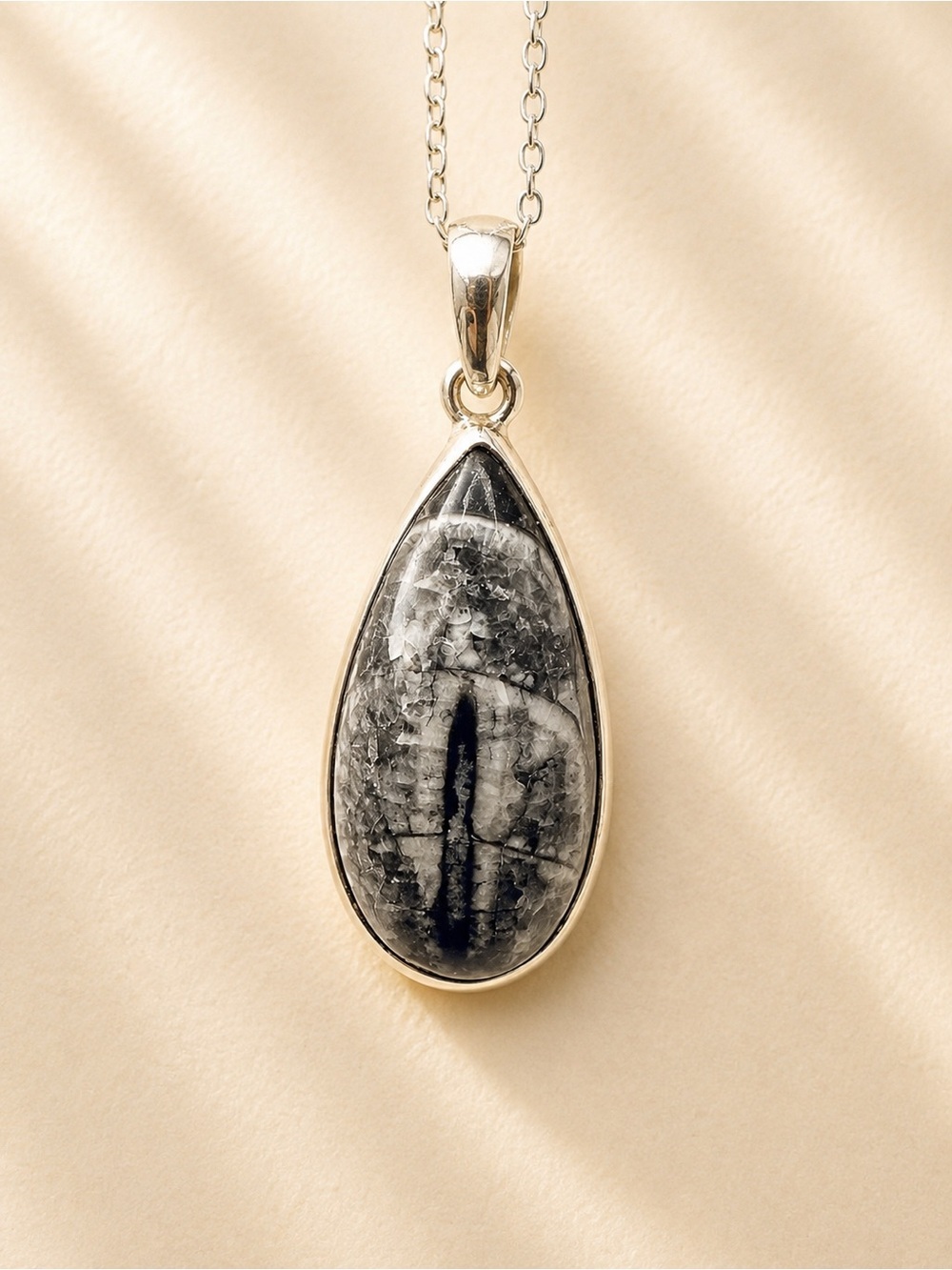 Orthoceras Pendant 925 Silver